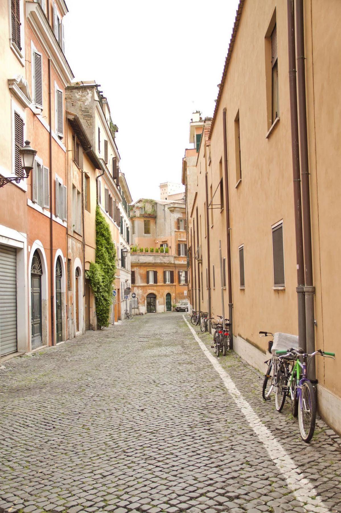 Elegant Behind The Colosseum Rom